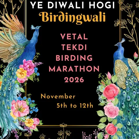 Ye Diwali hogi Birdingwali: VTBM 2026, 5–12 November