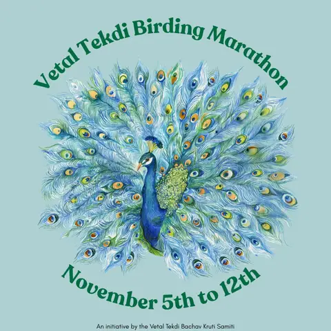 VTBM 2026 poster: Indian Peafowl in watercolour, 5–12 November