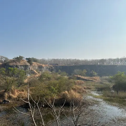 Wetland in the dry season