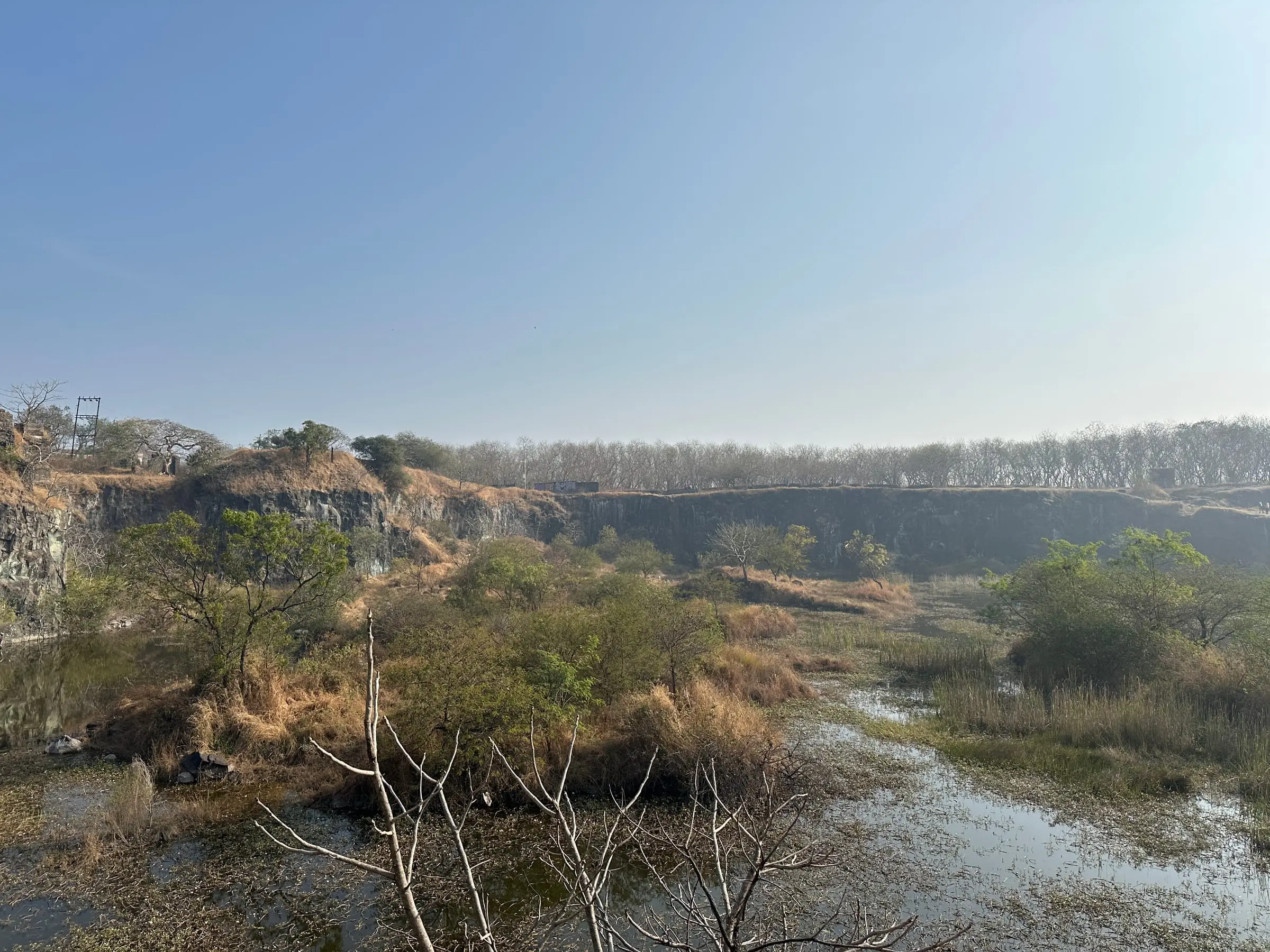 Wetland and scrub on Vetal Tekdi in the dry season
