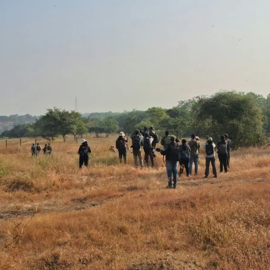 Grassland on Vetal Tekdi