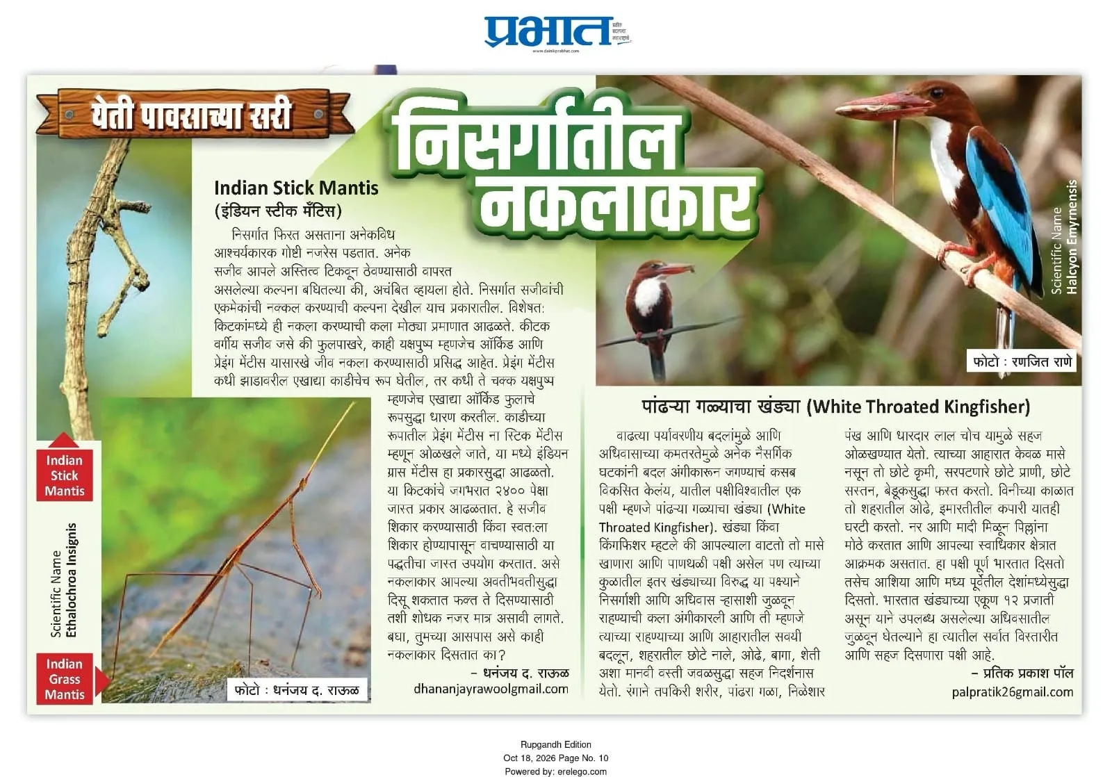 Clipping: निसर्गातील नकलाकार