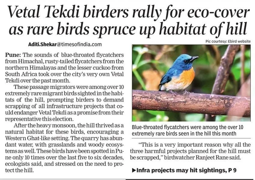 Clipping: Vetal Tekdi birders rally for eco-cover as rare birds spruce up habitat of hill